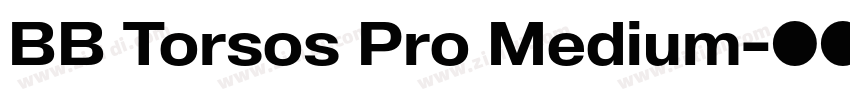 BB Torsos Pro Medium字体转换